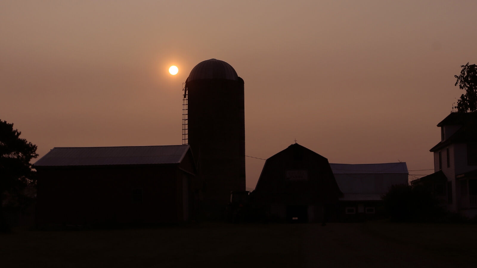 Freedom farm